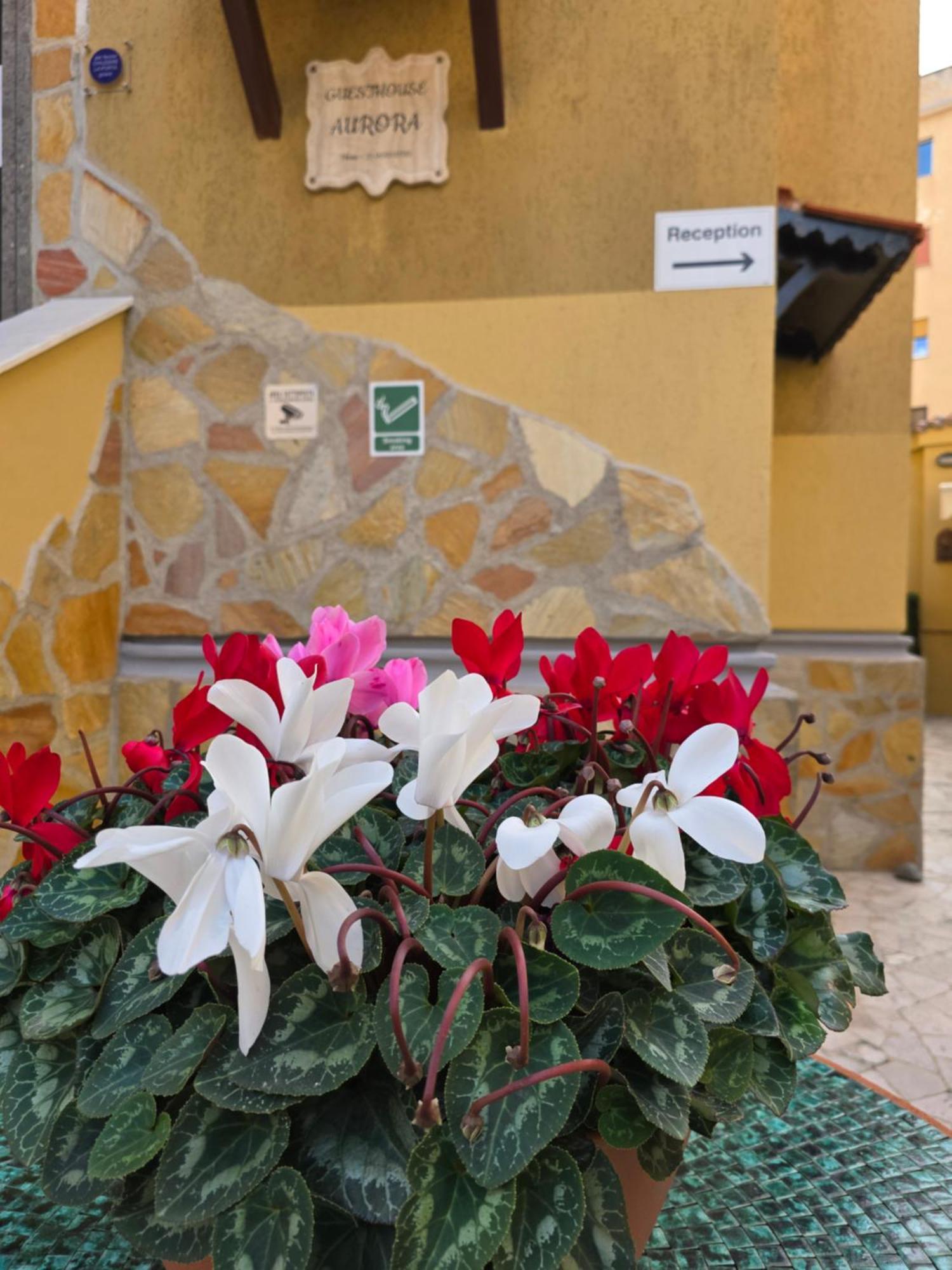 Guesthouse Aurora A.E. Рим Екстериор снимка